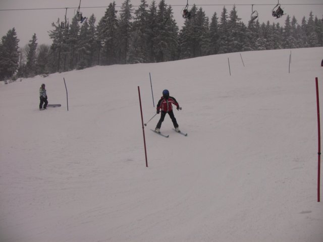 lyskvcvikviia2011110.jpg