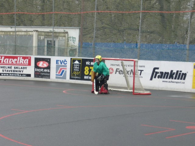 hokejbal201138.jpg