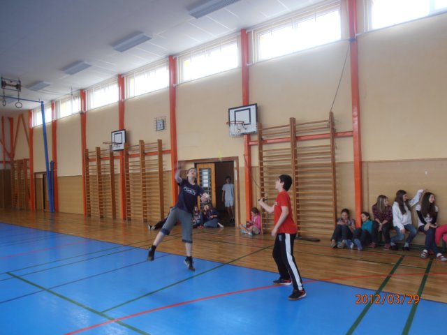 badminton201206.jpg